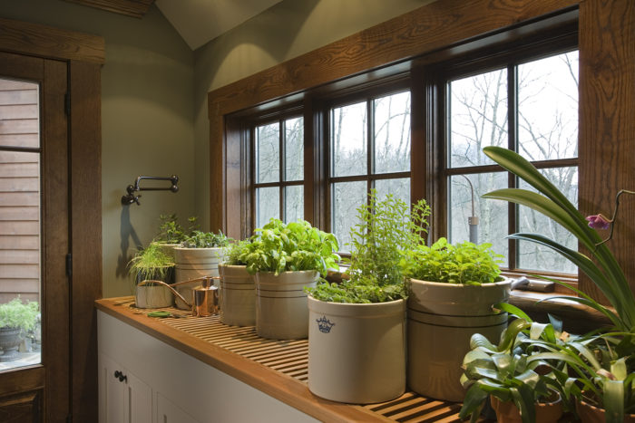 Interior, horizontal, plant bench, Ossman residence, Sylva, North Carolina, M. Shawn Leatherwood & Associates